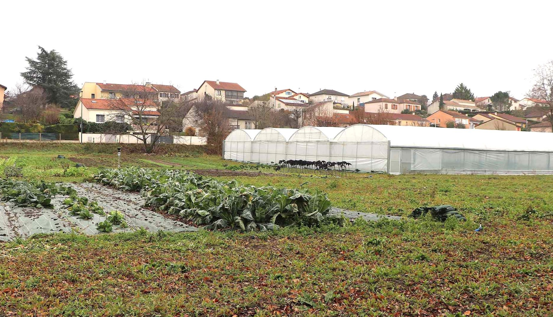 Vue de la Ferme du Rebond et de son environnement pavillonaire