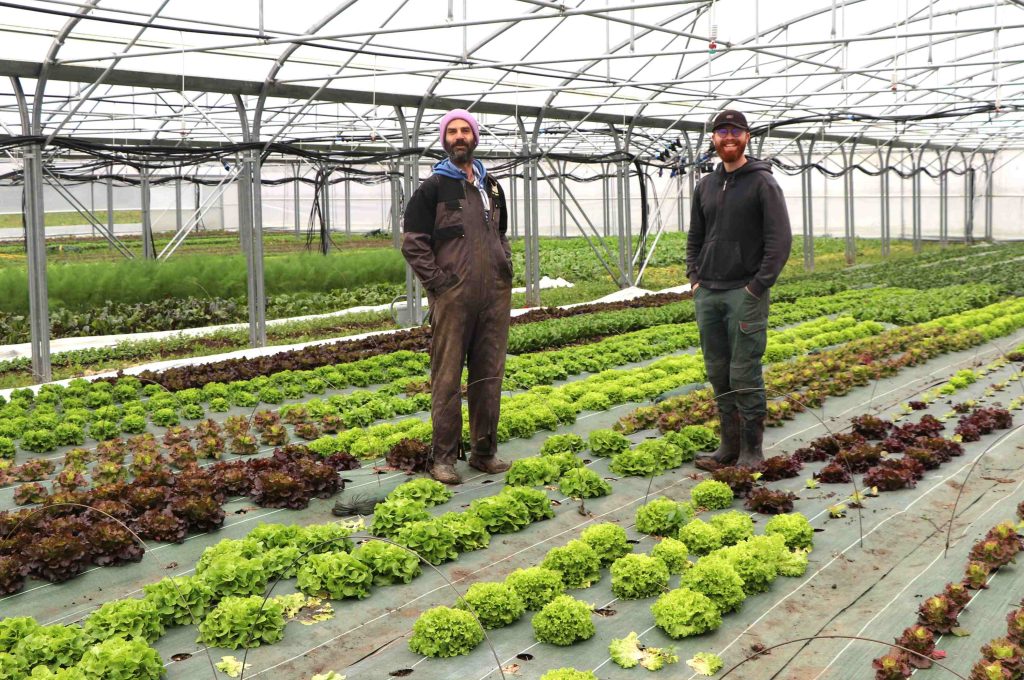 Richard et Simon dans la serre de la ferme du Rebond
