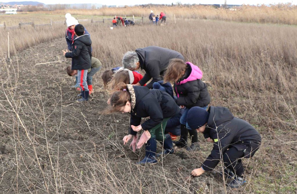 Les enfants de l'école Léon Dhersin semant du blé à la ferme de Sarliève