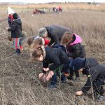 Les enfants de l'école Léon Dhersin semant du blé à la ferme de Sarliève