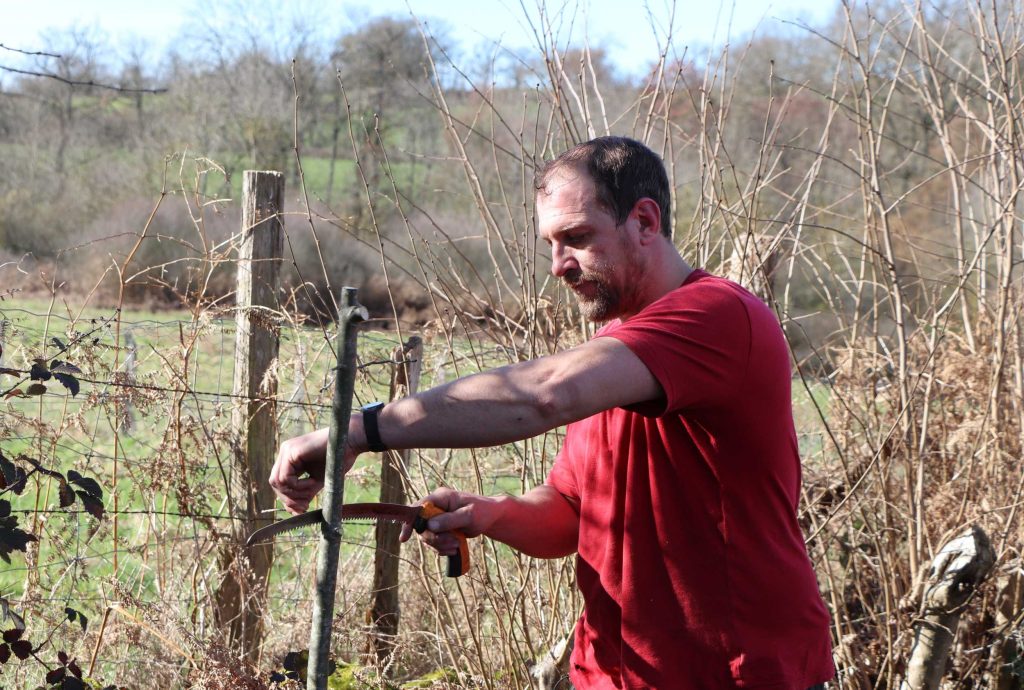Création d'une nouvelle trogne